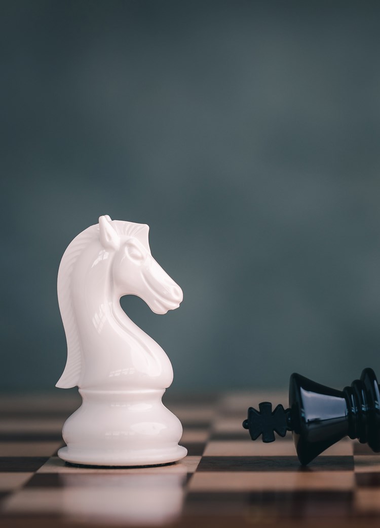 Le processus de l'expertise sinistre